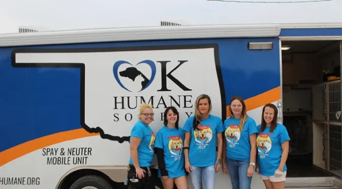 Finding Shelter from the Storm