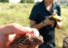 Combating Loss of Habitat