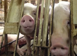 Finding a Better Way