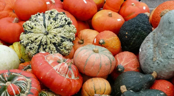 More Than Just a Treat