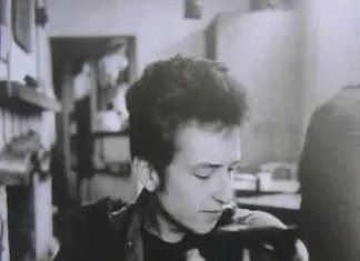 Meowin’ in the Wind