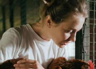 Flocking to the City