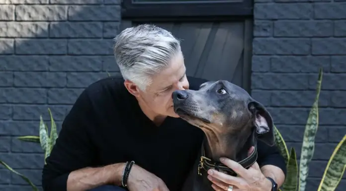 The Five Barkitectural Phases of Getting Gus