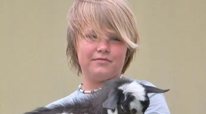 Animals Are Our Friends