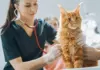 Picking the Best Provider