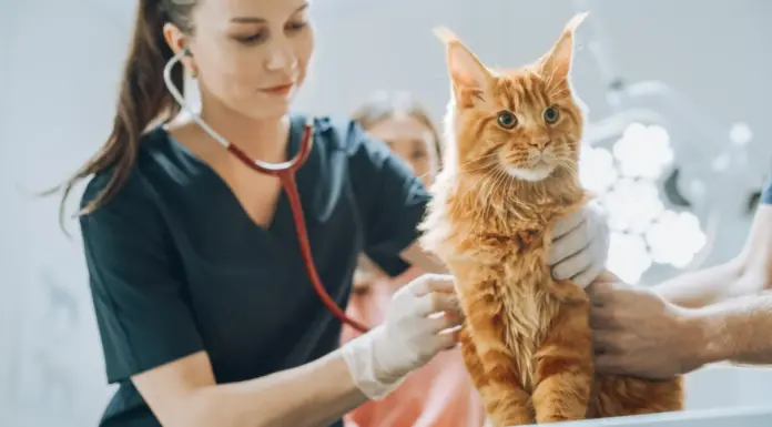 Picking the Best Provider