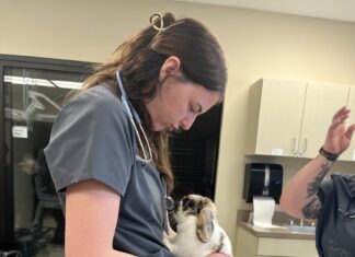 OSU-OKC’s Veterinary Technology Program