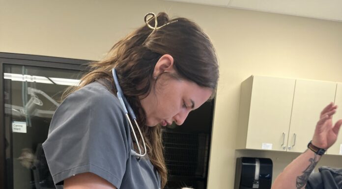 OSU-OKC’s Veterinary Technology Program