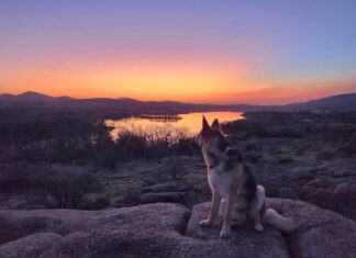 A Grounding Presence