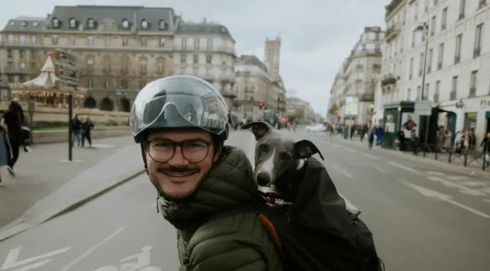 Traveling Companions