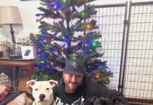 Tim Heitzman and His Rescue Crew: Maya, Bindi and Ozzy