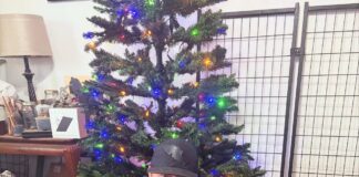 Tim Heitzman and His Rescue Crew: Maya, Bindi and Ozzy