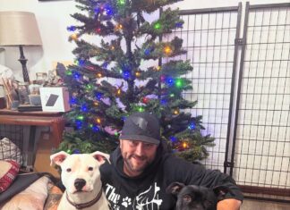 Tim Heitzman and His Rescue Crew: Maya, Bindi and Ozzy