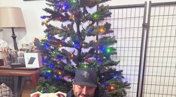 Tim Heitzman and His Rescue Crew: Maya, Bindi and Ozzy