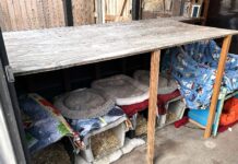 Helping Critters Weather Winter