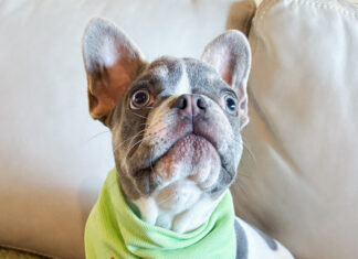 Physical Therapy Brings Restoration