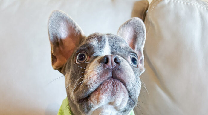 Physical Therapy Brings Restoration