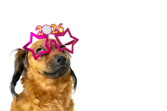 AdobeStock_1573380846-scaled