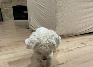 Pushing Those Buttons