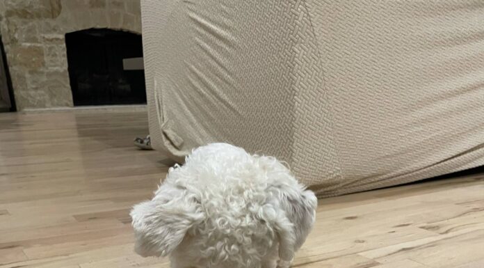 Pushing Those Buttons