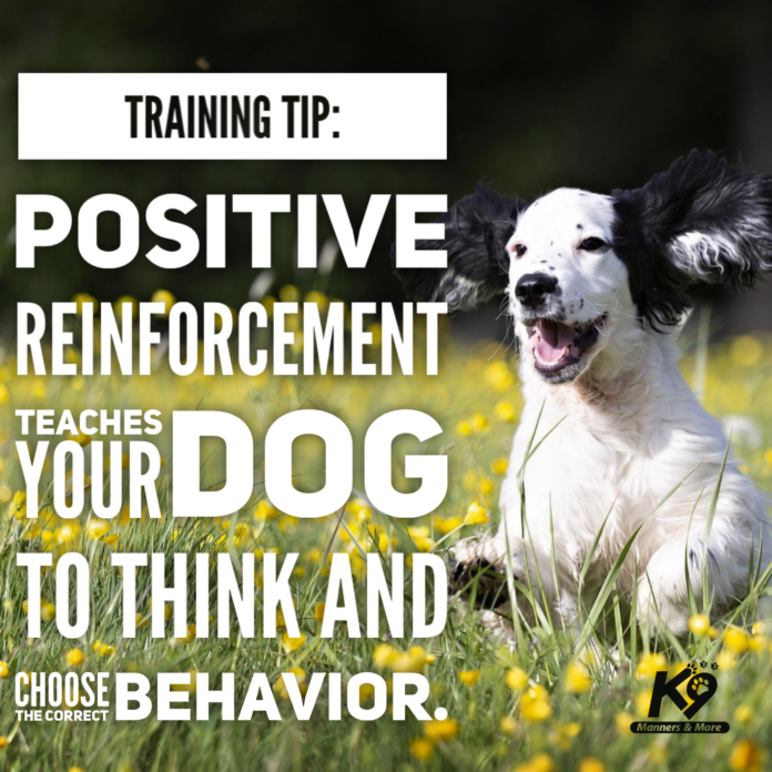 PositiveReinforcement