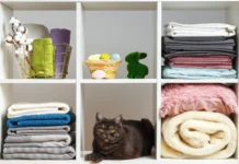 The Organized Pet Life