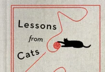 ‘Lessons from Cats for Surviving Fascism’ by Stewart Reynolds