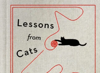 ‘Lessons from Cats for Surviving Fascism’ by Stewart Reynolds