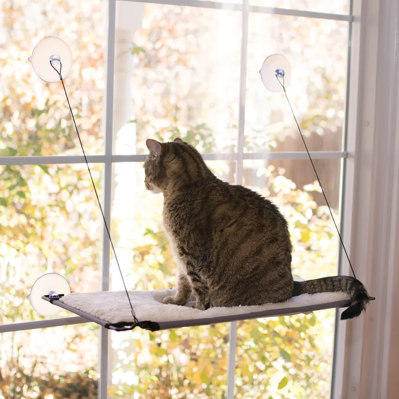 Push-and-turn suction cups hold 50 pounds each for the ultimate in strength and are easily removable for cleaning. K & H Pet Products EZ Mount Window Kitty Sill Single Level, $44.99, southernagriculture.com.