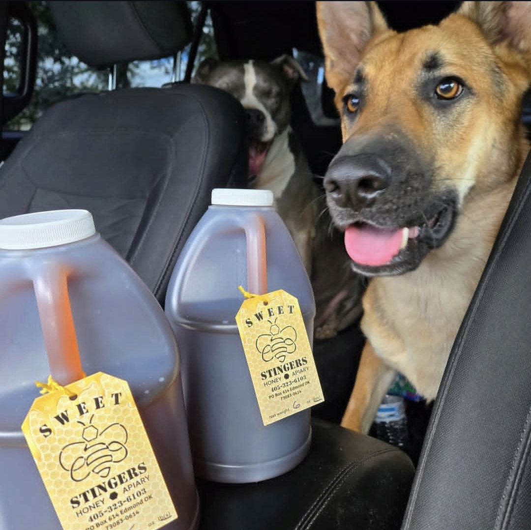 Maverick is out on delivery, with Ace in the back. Photo courtesy of Sweet Stingers.