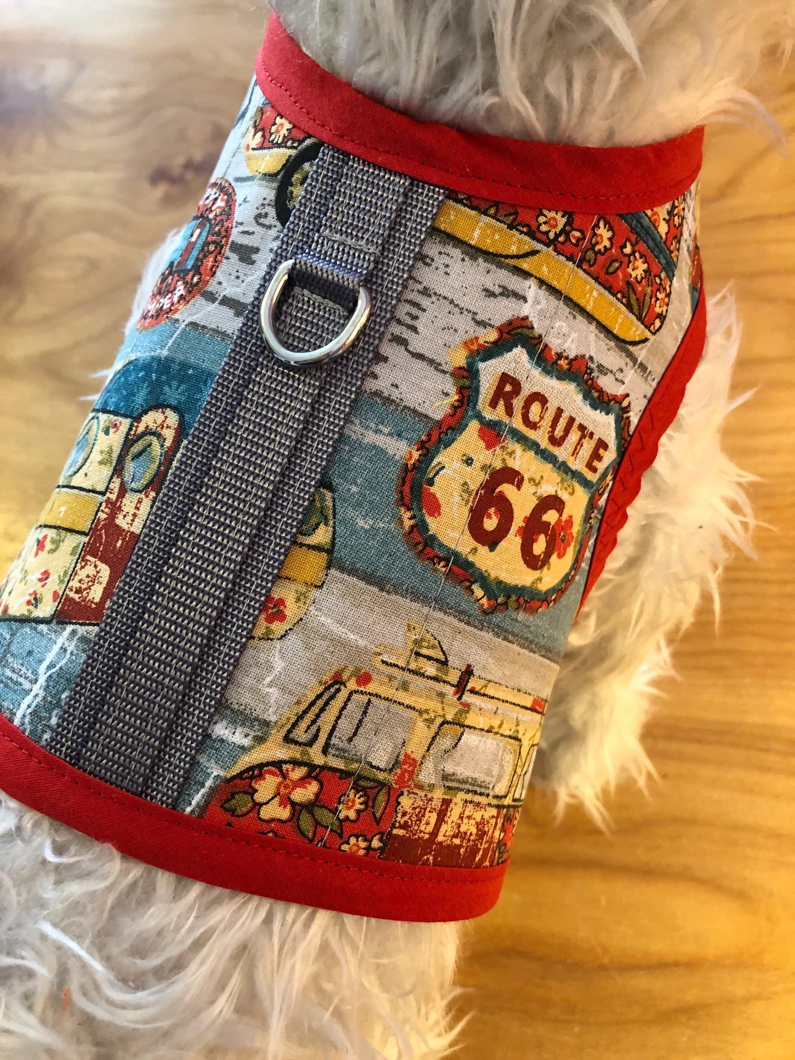 2 Route 66 harness