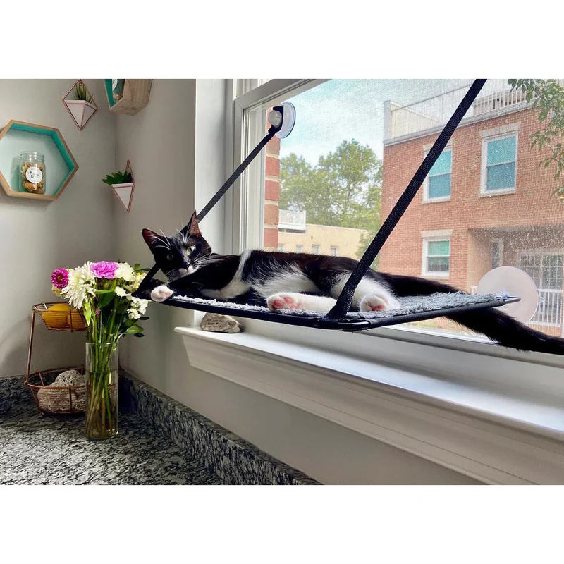 A sun-soaked window lounger keeps cats entertained, comfortable and mentally engaged. K & H Pet Products Window Lounger Kitty Sill Single, $33.99, southernagriculture.com.