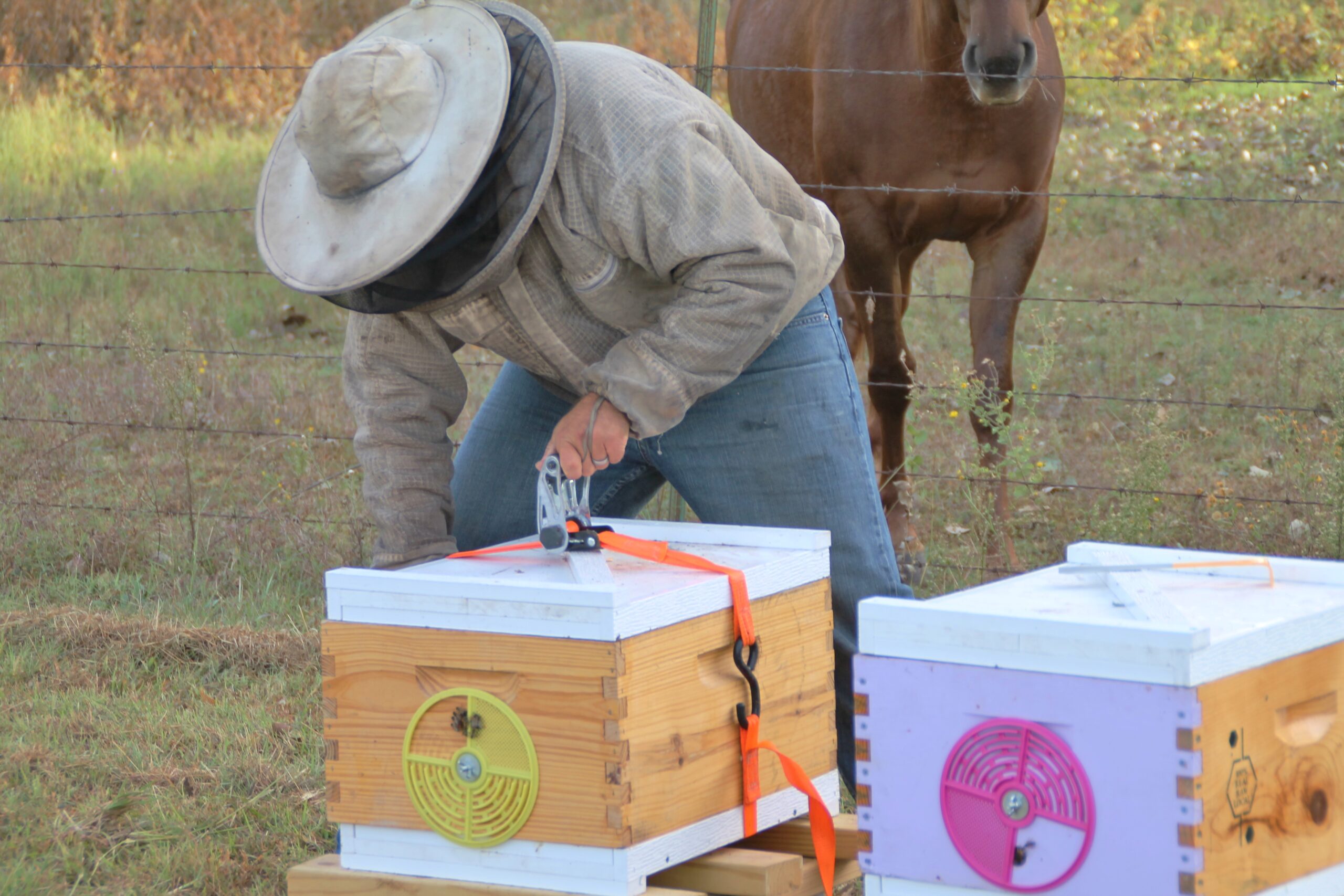 While a horse watches, Justin Scott sets up beehives on a rural Canadian County property. Photo by Carol Mowdy Bond.