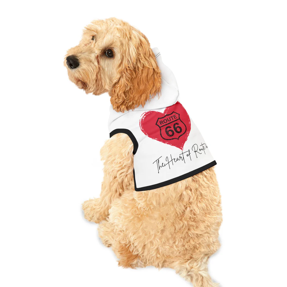 6 route 66 pet hoodie