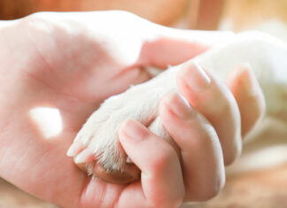 A Compassionate Goodbye