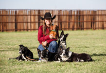 Real Life on the Ranch Surrounded by her Border Collies, Taylor Templet holds Bo the Dachshund.
