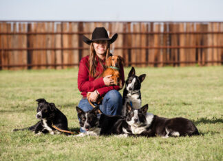 Real Life on the Ranch Surrounded by her Border Collies, Taylor Templet holds Bo the Dachshund.