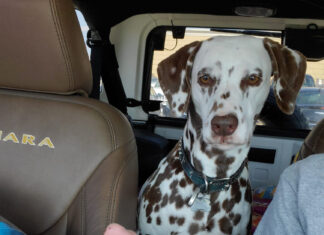 When You Know A random car ride ending in Chick-fil-A nuggets for Brooke.