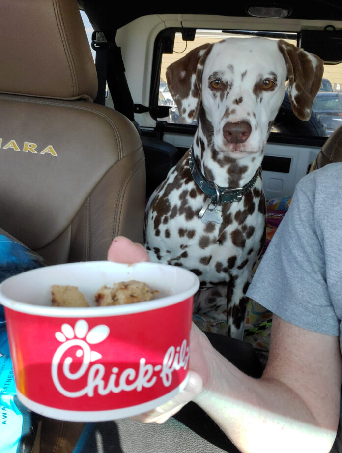 A random car ride ending in Chick-fil-A nuggets for Brooke. A random car ride ending in Chick-fil-A nuggets for Brooke.
