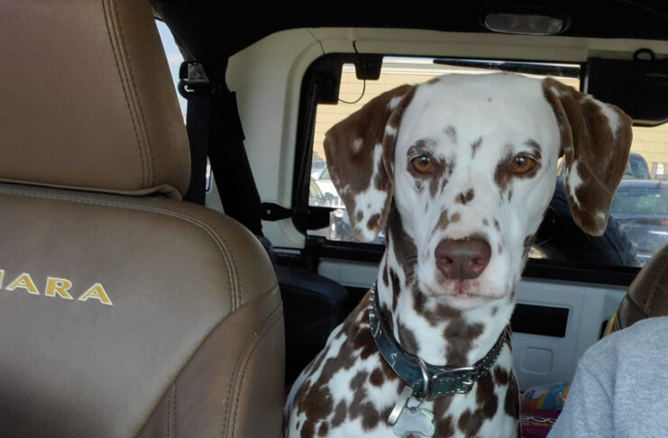 When You Know A random car ride ending in Chick-fil-A nuggets for Brooke.
