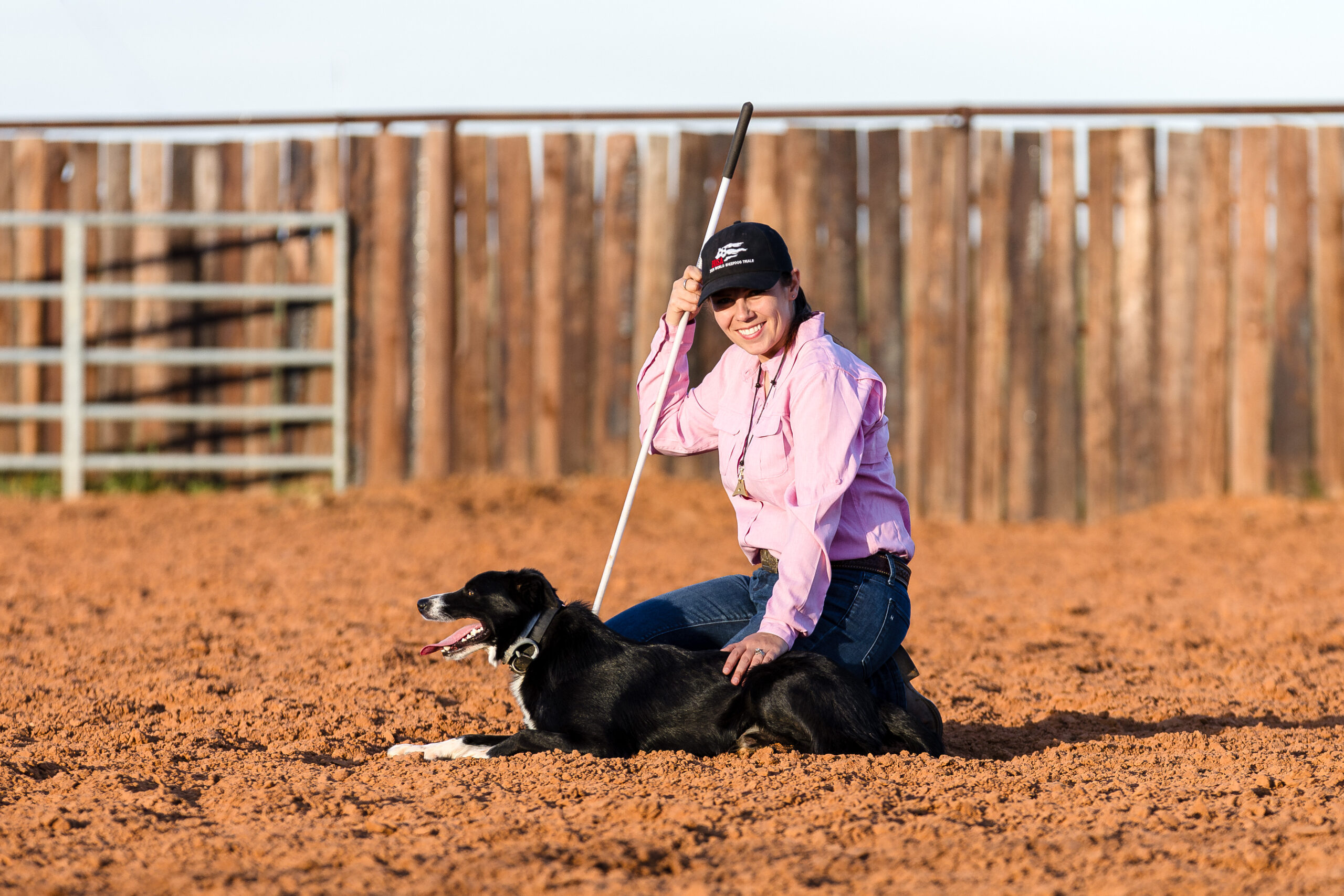Taylor Templet working with one of her Border Collies.
