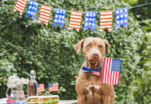 Stars, Stripes & Summer Essentials