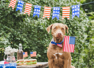 Stars, Stripes & Summer Essentials