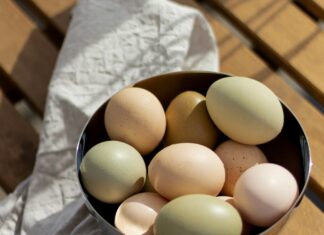 A First Step Toward Urban Homesteading