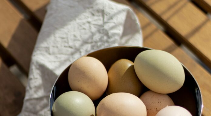 A First Step Toward Urban Homesteading