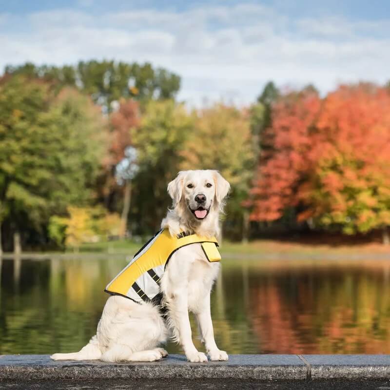 GF Pet Dog Life Jacket