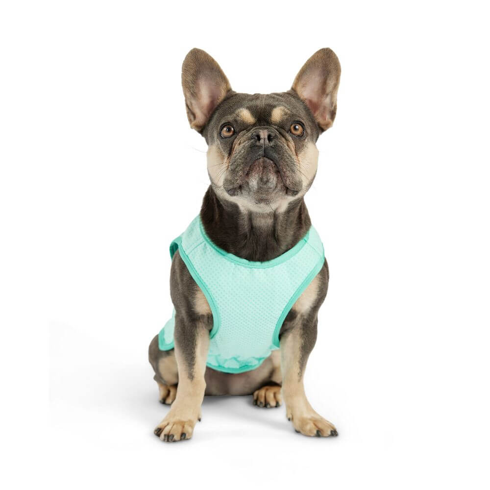 GF Pet Elasto-Fit Ice Vest