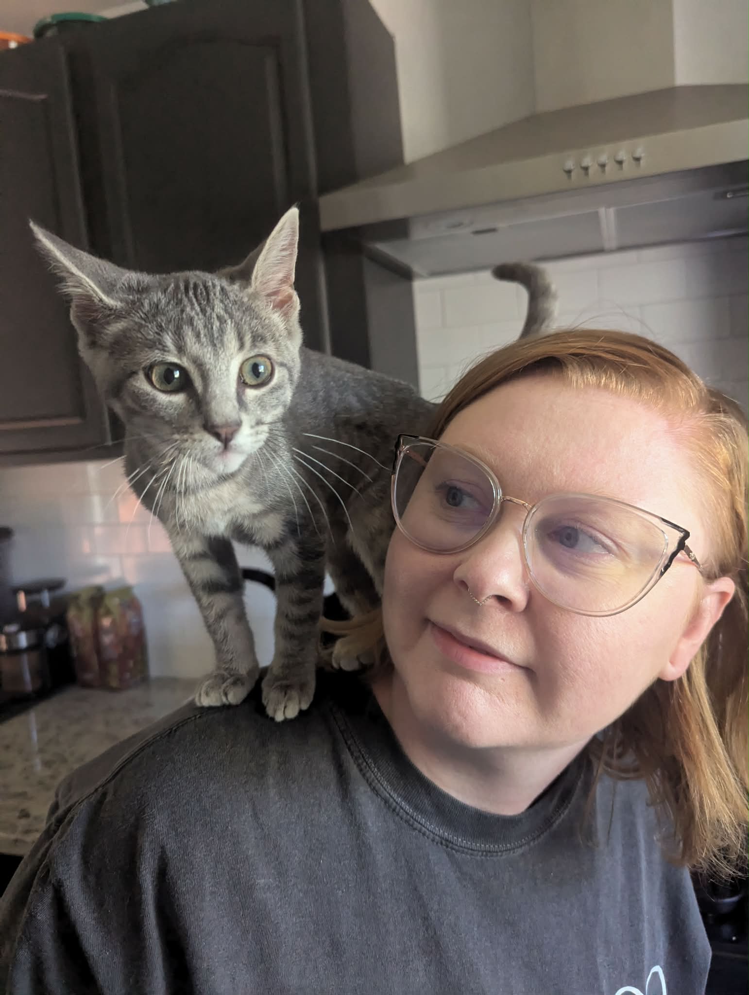 An Open Door Amy Cerda holding one of her foster cats