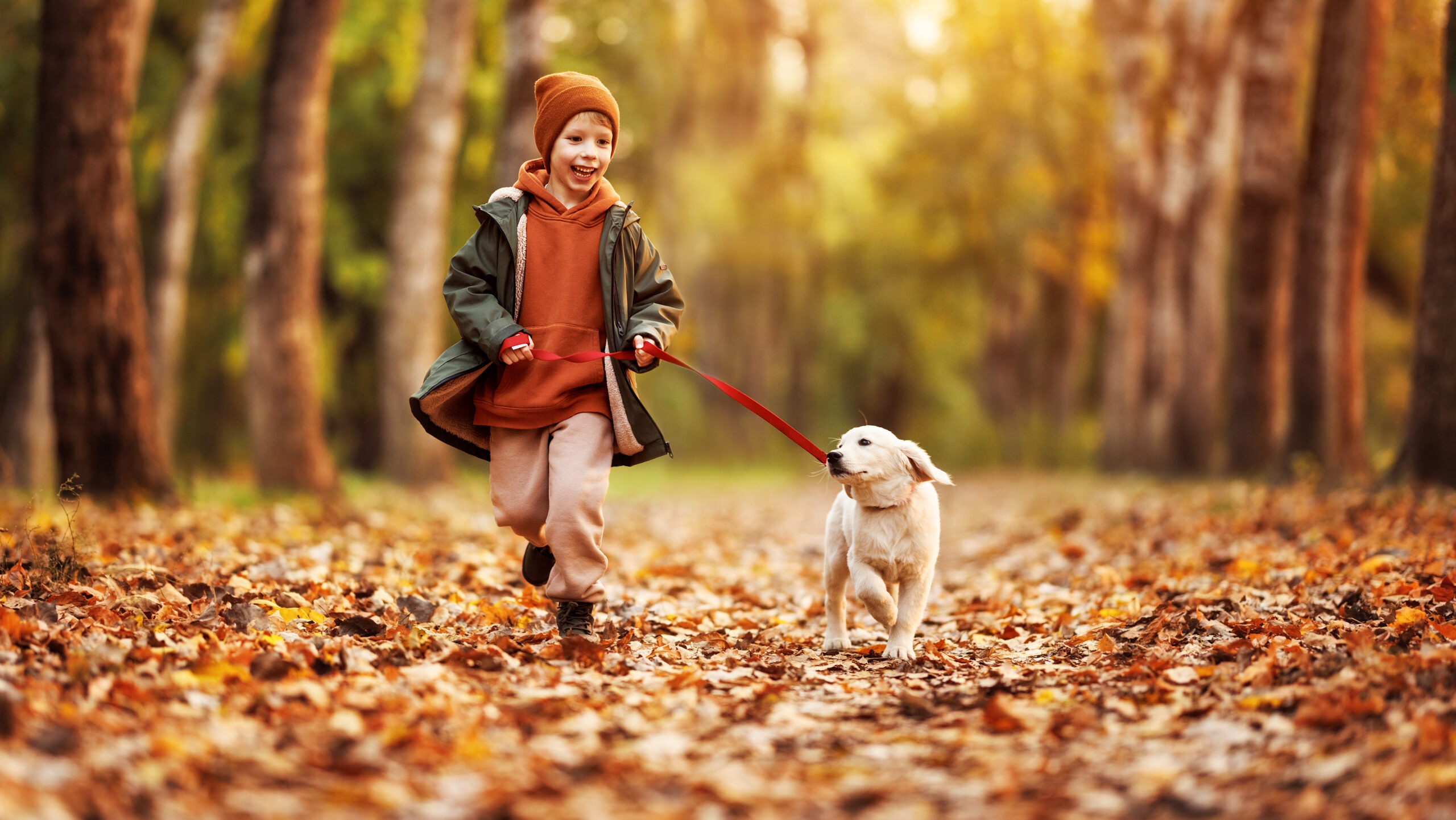 Kids and Dogs Child sitting on the floor gently petting a dog