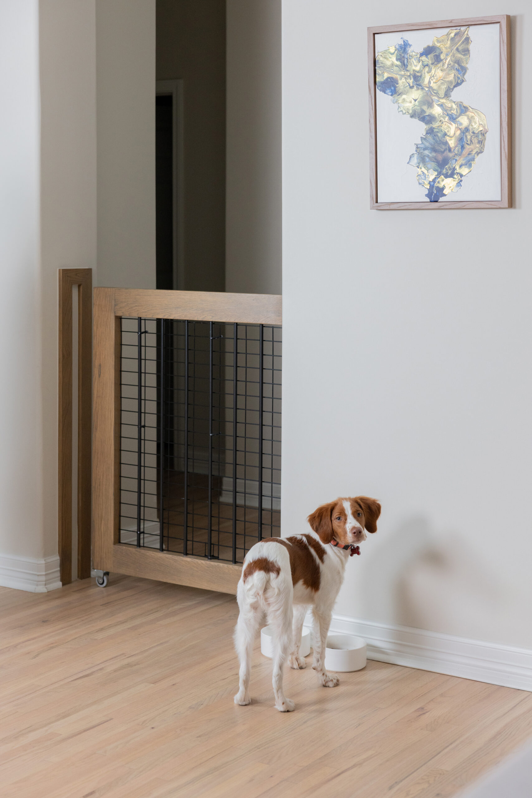 Pets are part of the story of a home, which means their needs should be thoughtfully considered from the beginning. This custom built-in retractable pet gate blends seamlessly into the architecture while providing a practical solution for everyday living.